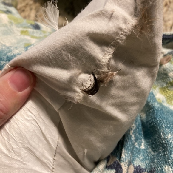 Pacific Coast Duck Feather & Down Filled Throw Pillow Set 17x17 Blue Green White - Picture 11 of 11